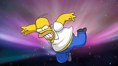 Homer Simpson The Simpsons