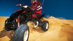 Honda 2008 motorbikes quad bikes