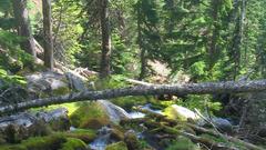 Honey creekknow but they