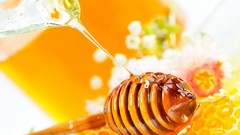 Honeycomb bees honey