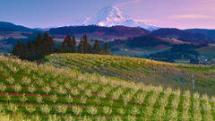 Hood river Oregon high