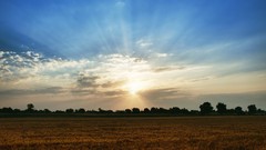 Horizon sunlight clean plains