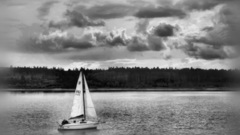 Horizon Yachts monochrome nature