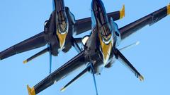 Hornet Aircraft vehicles blue