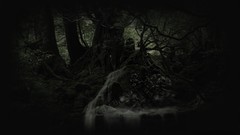 Horror forests Derelict