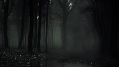 Horror forests slender Slender Man slenderman Slender The 