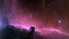 Horsehead Nebula outer space