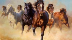 Horses