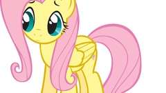 Horses cartoons ponies my little pony My Little Pony: 