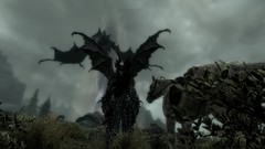 Horses Dragons the elder scrolls v skyrim Argonian skyscapes