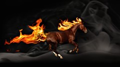 Horses flames fire