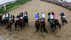 Horses horse racing