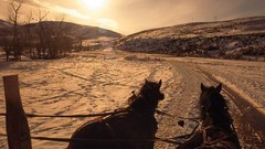 Horses morning hay idaho