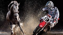 Horses motorbikes