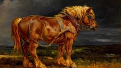 Horses paintings
