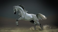 Horses paintings