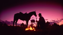 Horses silhouettes Cowboys