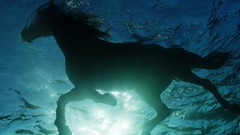 Horses swimming