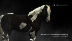 Horses the elder scrolls v skyrim video games