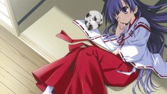 Hoshizora e kakaru hashi miko knees together