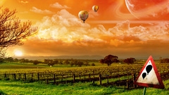 Hot air balloons