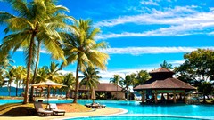 Hotel palm trees tropical Pacific swimming pools