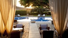 House swimming pool palm trees Garden armchair