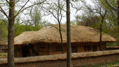 House tradition Korean village