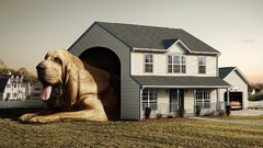 Houses Dogs Photo manipulation
