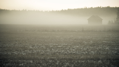 Houses fields fog farmy