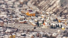 Houses romania cityscapes tilt-shift Brasov