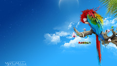 How does follow link