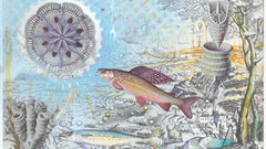 Hp More painterly high