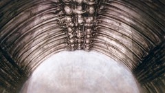 Hr giger schacht anonib