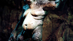 Hr troll success high