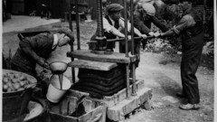 Hu making vodka high