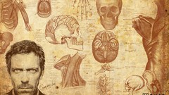 Hugh Laurie skulls gregory house anatomy TV series