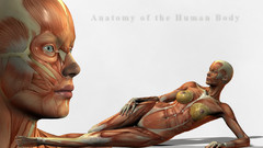 Human body robertt Art