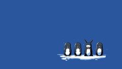 humor blue background Simple Background Animals Penguins