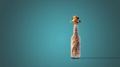 humor bottles Giraffes Turquoise turquoise background