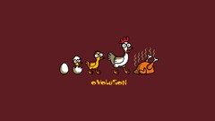 humor Chickens Simple Background red background eggs red