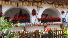 Hungarian farmhouse