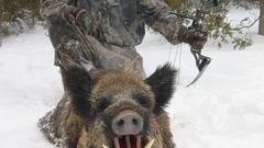 Hunting bow (weapon)