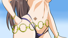 Hyakka Ryouran Samurai Girls