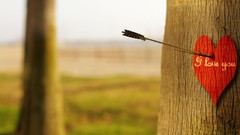 I Love You saying love you