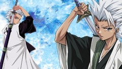 Ice bleach Hitsugaya Toshiro