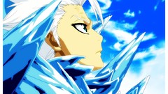 Ice captain bleach bankai Hitsugaya Toshiro