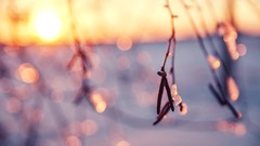 Ice close-up bokeh sunlight