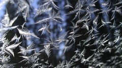 Ice Frozen national geographic