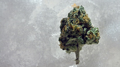 Ice marijuana